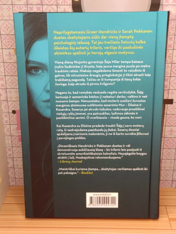 Tu ne vieniša - Greer Hendricks, Sarah Pekkanen, knyga 3