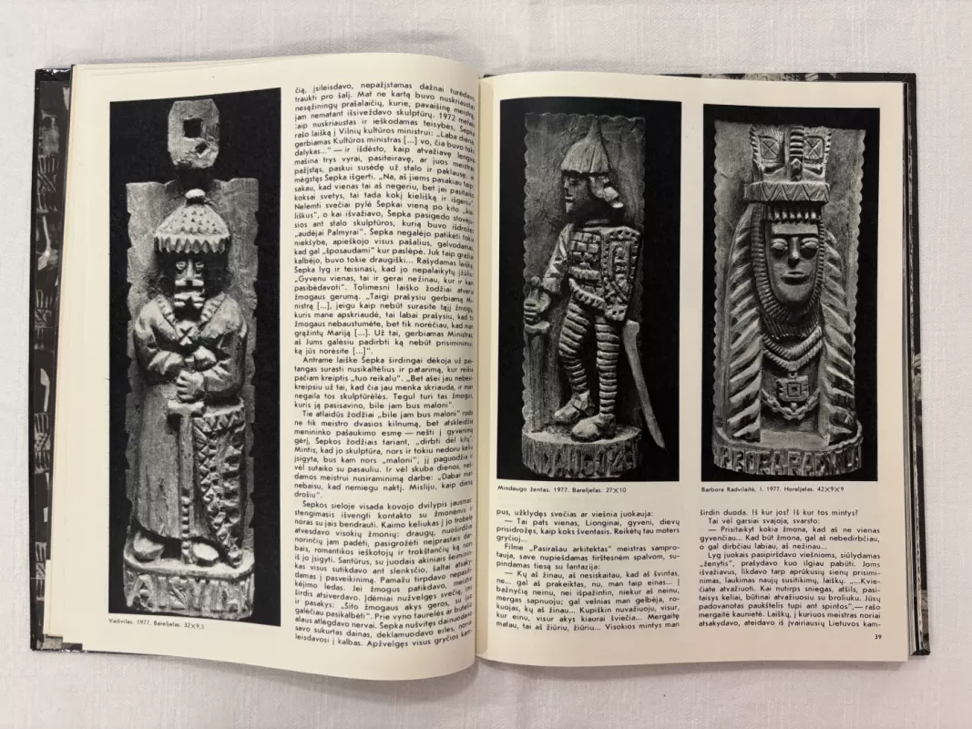 Lionginas Šepka - Zita Žemaitytė, knyga 4