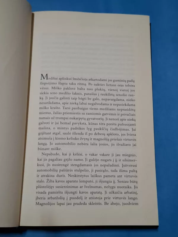 Kitokia šviesa - Jens Christian Grondahl, knyga 6