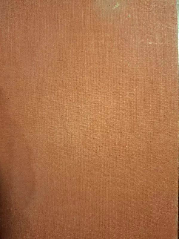 Little women - Louisa M. Alcott, knyga 2