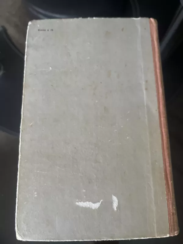 Ogiustas Rodenas - Deividas Veisas, knyga 4