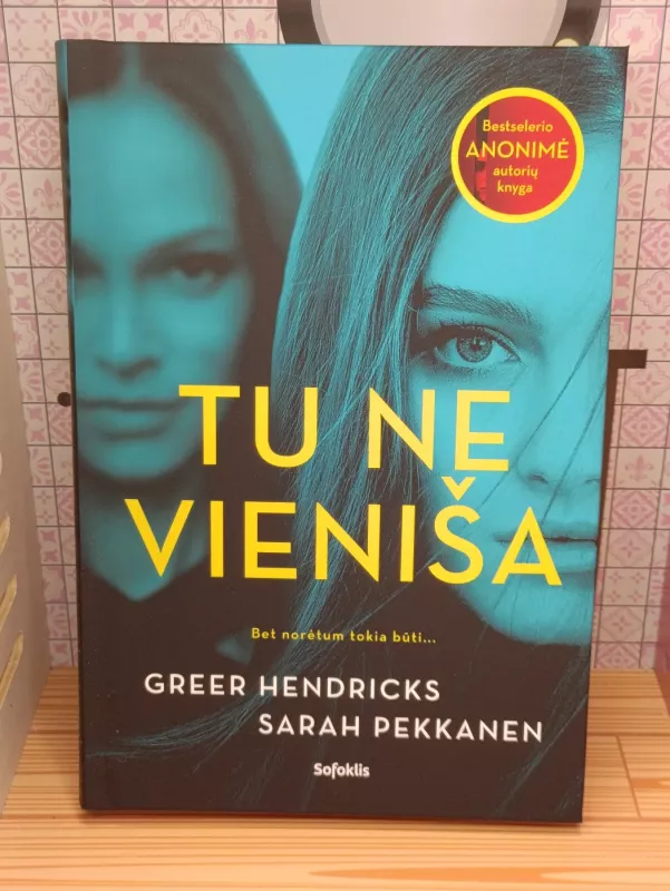 Tu ne vieniša - Greer Hendricks, Sarah Pekkanen, knyga 2