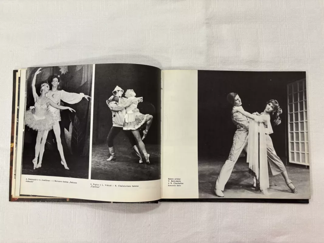 Kauno Valstybinis muzikinis teatras - daina Klimauskaitė, knyga 4