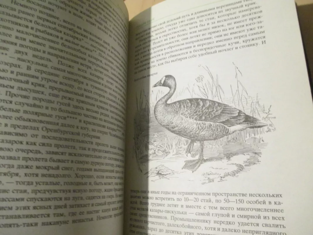Medžiojamieji paukščiai - medžioklės darbai (rusų k.) - L. P. Sabanejev, knyga 6