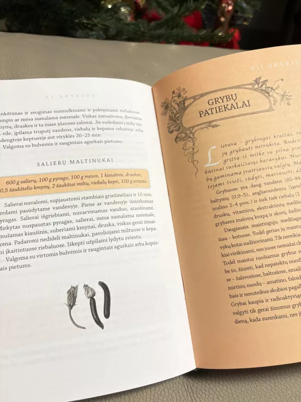 Seni geri lietuvių valgiai - J.Pauliukonienė, knyga 4