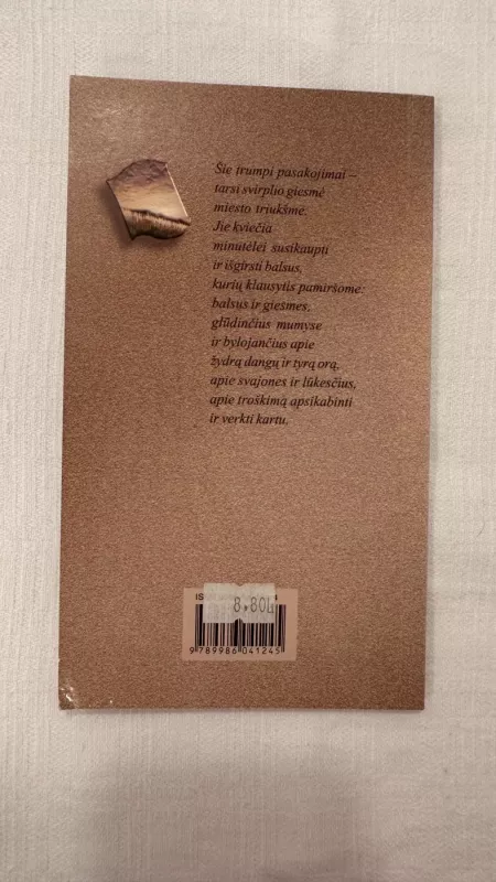 Svirplio giesmė - Bruno Ferrero, knyga 5