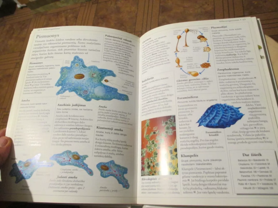 Gamta. Mokyklinė enciklopedija - David Burnie, knyga 5