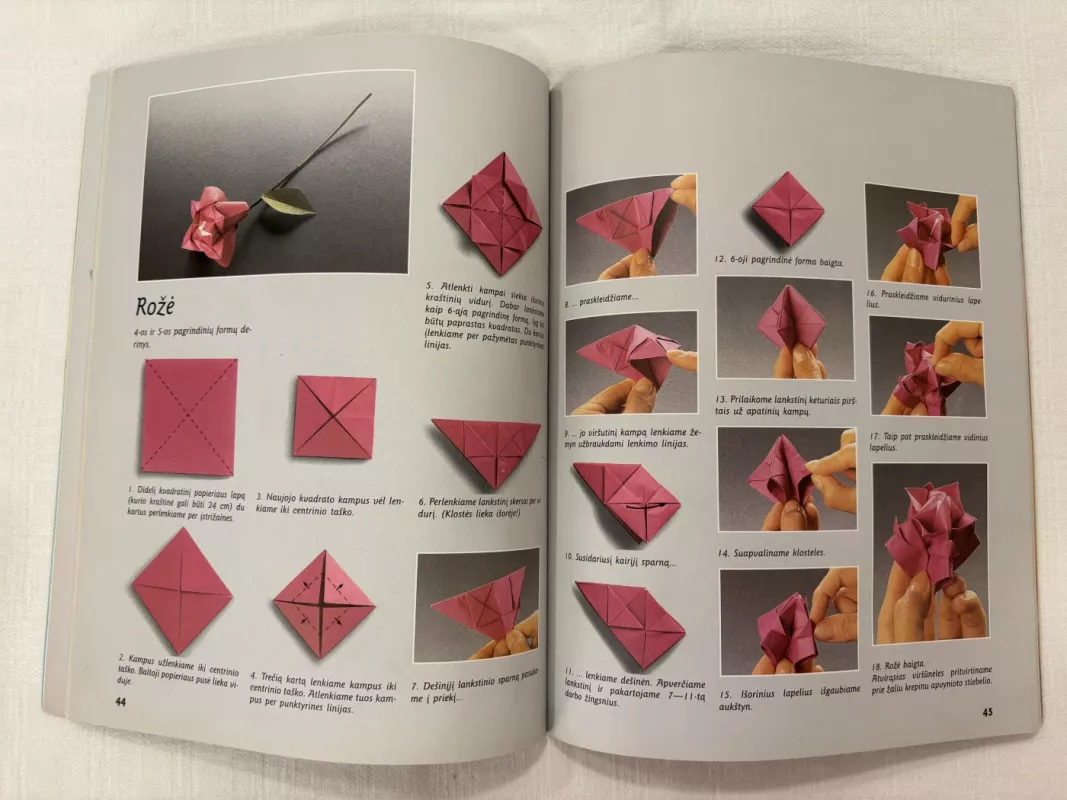 Origamis - Zilal Ayture-Scheele, knyga 4