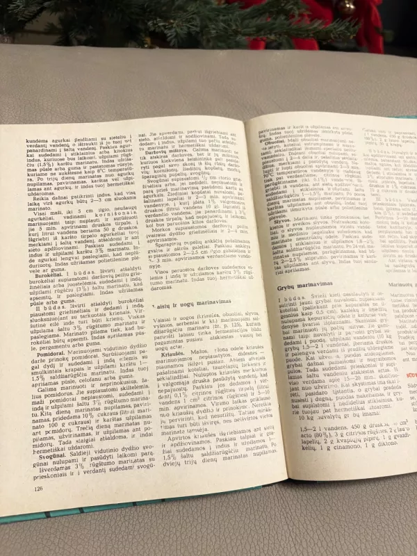 Šeimininkės vadovas - P.Baublys, knyga 4