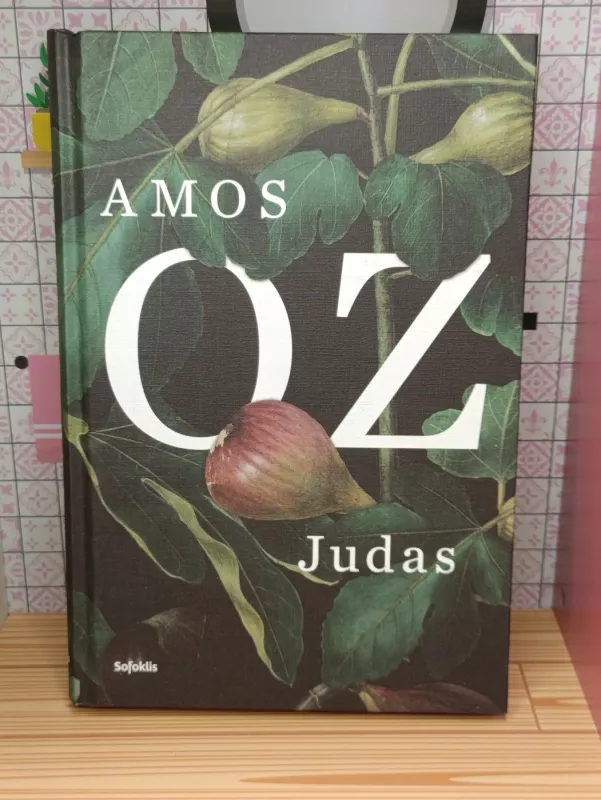 Judas - Amos Oz, knyga 2