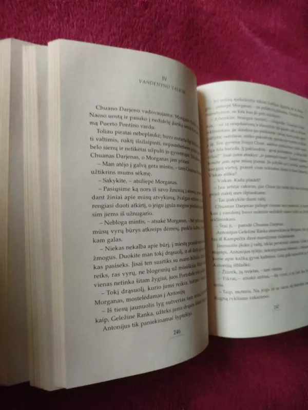 Meksikos įlankos piratai - Vicente Riva Palacio, knyga 4