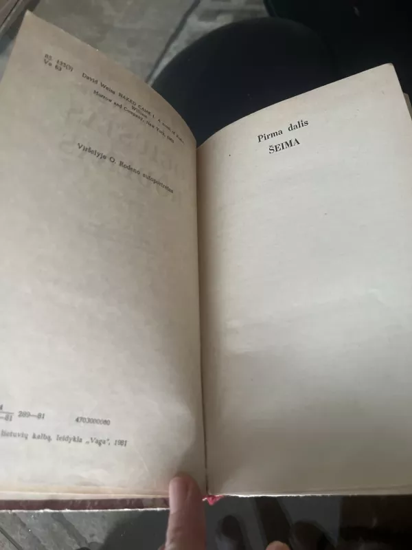 Ogiustas Rodenas - Deividas Veisas, knyga 5