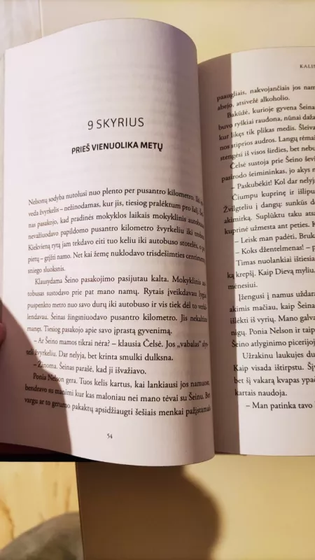 Kalinys - Freida McFadden, knyga 4