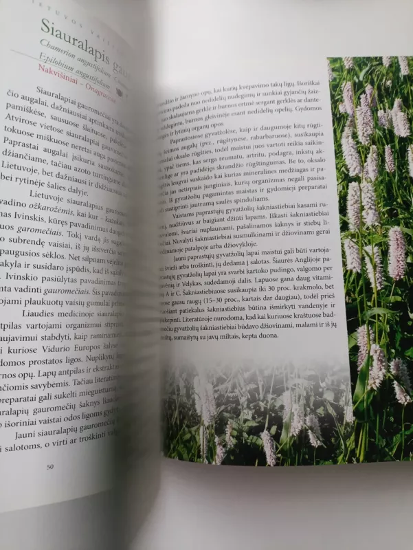 Lietuvos vaistiniai augalai - Zigmantas Gudžinskas, knyga 5