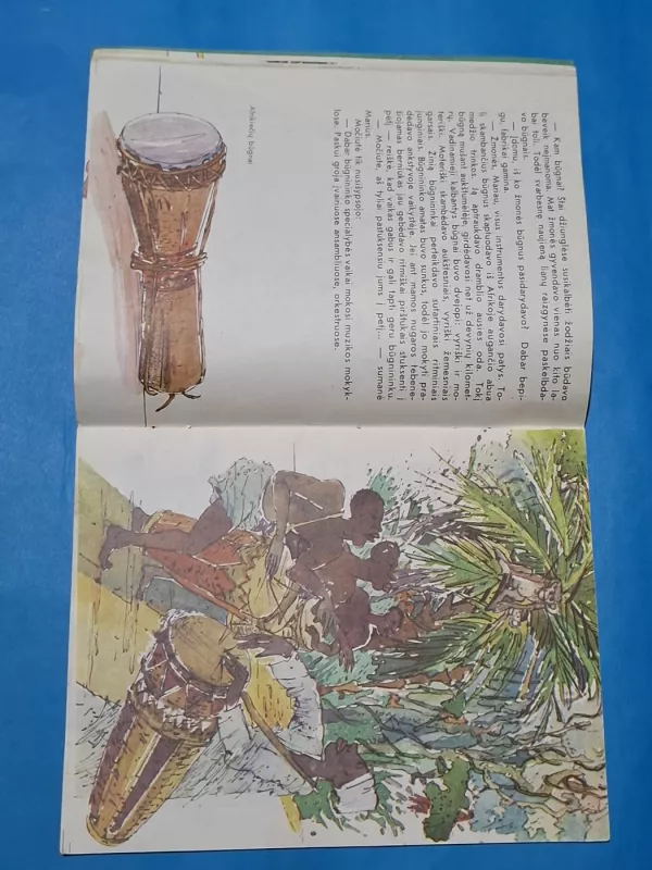 Kalbantis būgnas - Rita Aleknaitė-Bieliauskienė, knyga 5
