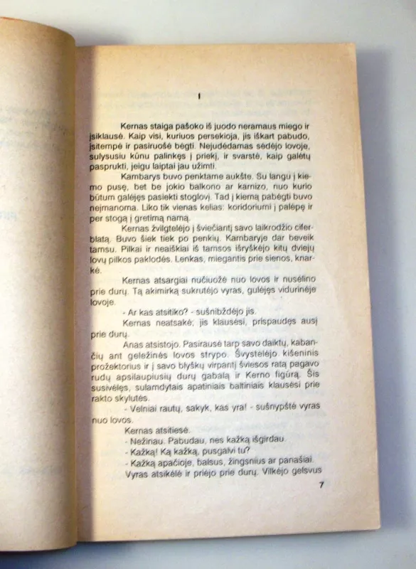 Mylėk savo artimą - Erich Maria Remarque, knyga 6