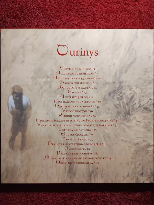 Siaubo pasakos - Rita Repšienė, knyga 4