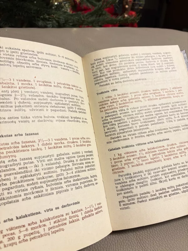 Mėsos ir grybų valgiai - S.Maso, O.Relvė, knyga 3