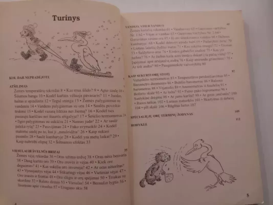 Orų prognozės: eksperimentai paprastomis priemonėmis - Muriel Mandell, knyga 4