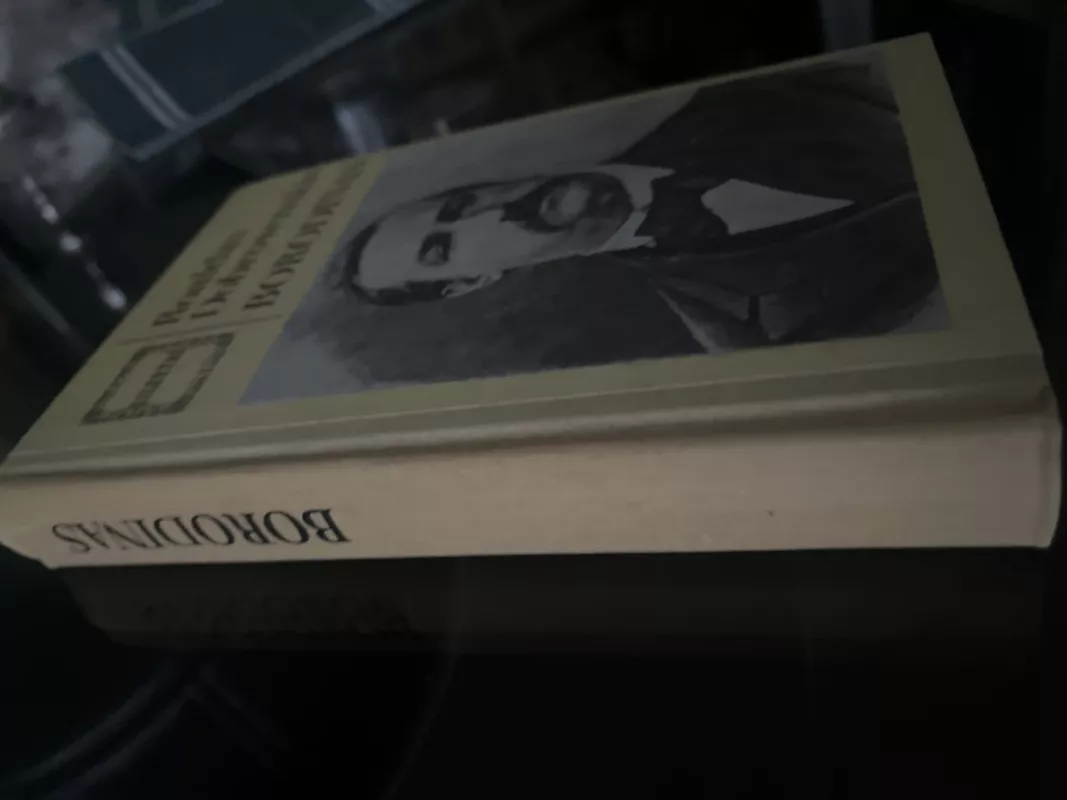 Borodinas - Roaldas Dobrovenskis, knyga 4