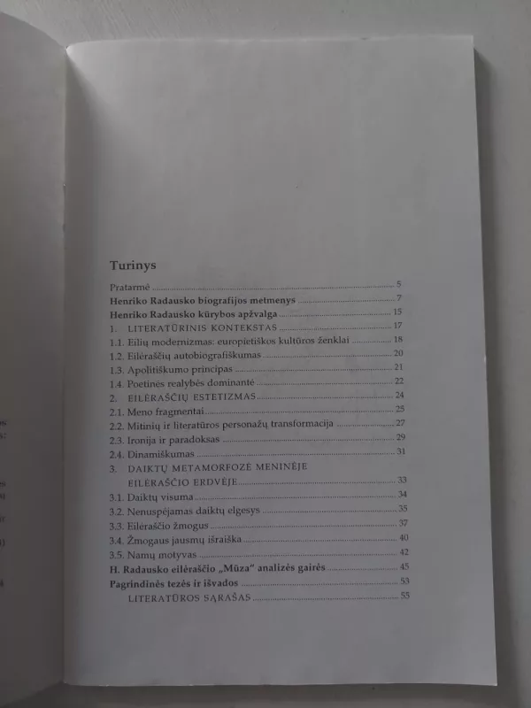 Estetiškasis Radauskas: biografijos, kūrybos ir interpretacijos aspektai - Ingrida Agurkienė, Vilma Bartaševičienė, knyga 4