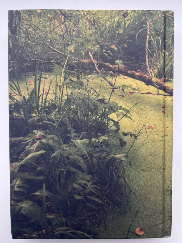 Miško maudynės. Shinrin-Yoku - Quing Li, knyga 3