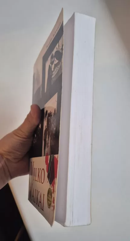 Vilko vaikai - Remigijus Baltrušaitis, knyga 3