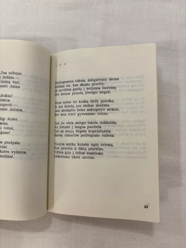 Leisk palinkėti - Antanas Kancevičius, knyga 4