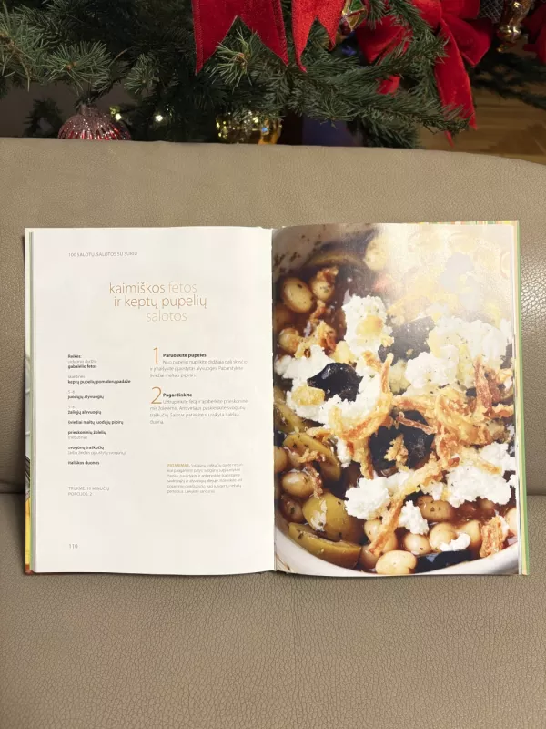 100 salotų su mėsa, žuvimi, sūriu, vaisiais ir uogomis - Brigita Bulsytė, knyga 4
