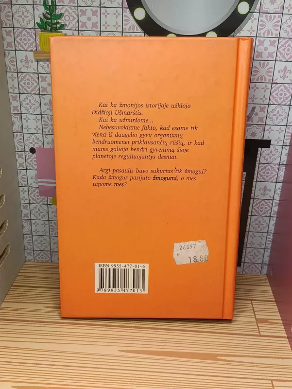 B istorija - Daniel Quinn, knyga 3