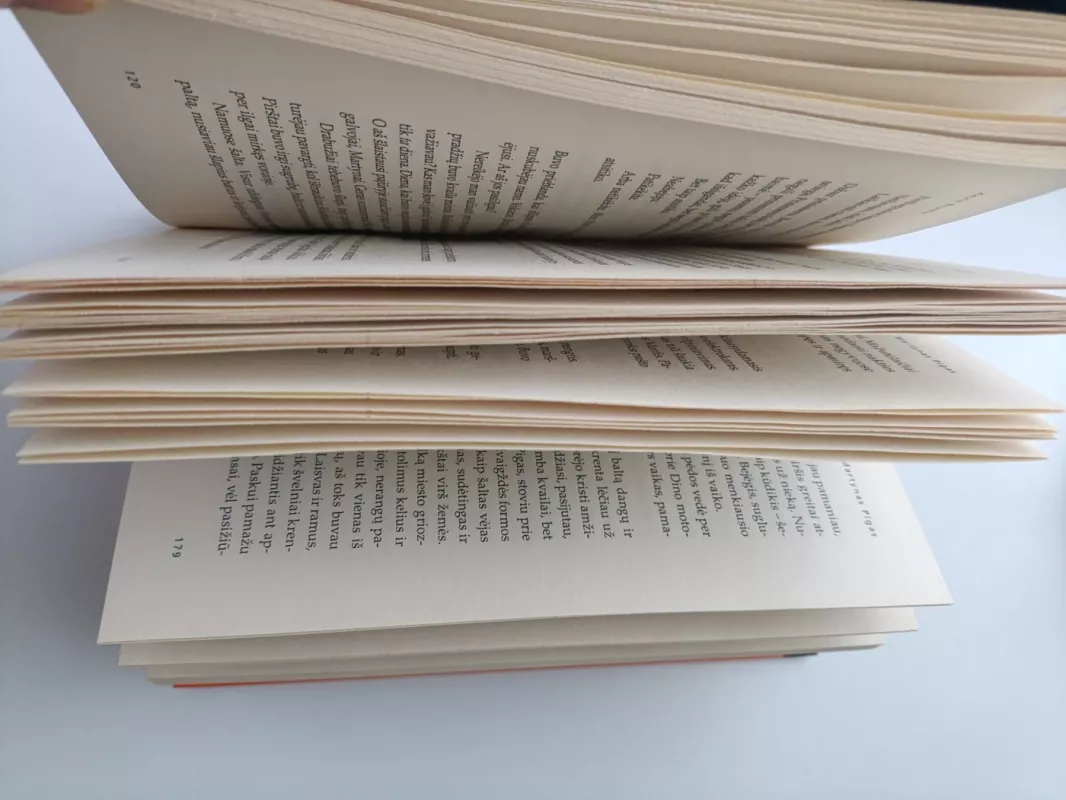 Martynas Pigas - Kevin Brooks, knyga 4