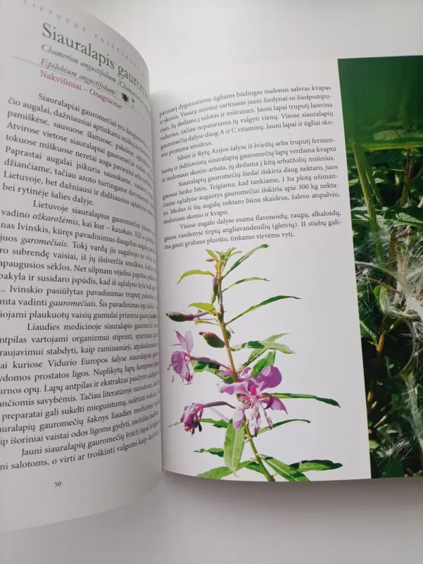 Lietuvos vaistiniai augalai - Zigmantas Gudžinskas, knyga 4