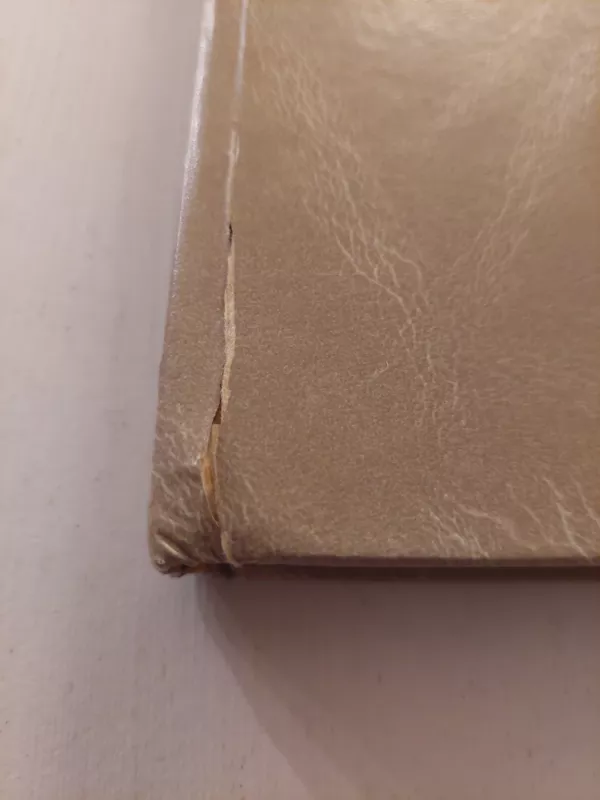 Nacionalizmas XX amžiuje - Anthony D. Smith, knyga 4