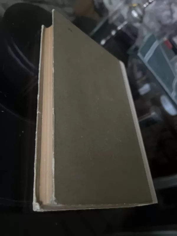 Gogolis - Igoris Zolotuskis, knyga 3