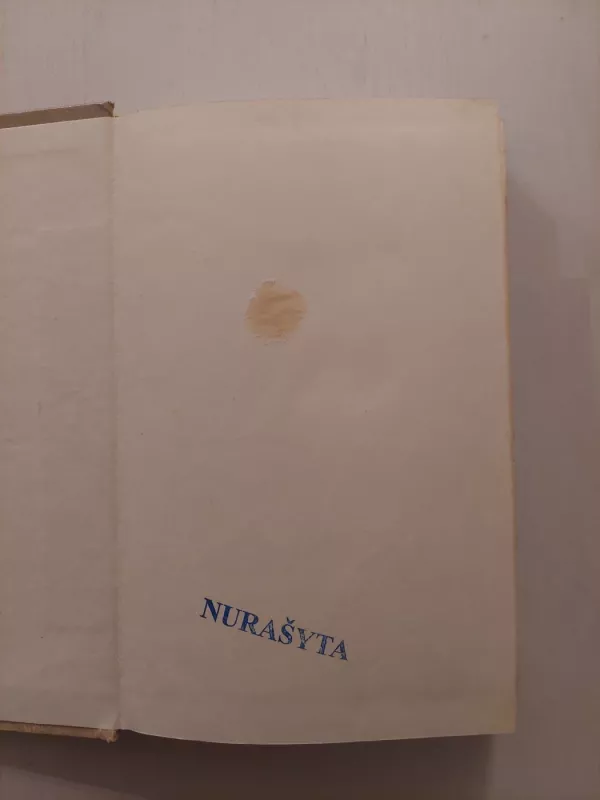 Nacionalizmas XX amžiuje - Anthony D. Smith, knyga 6