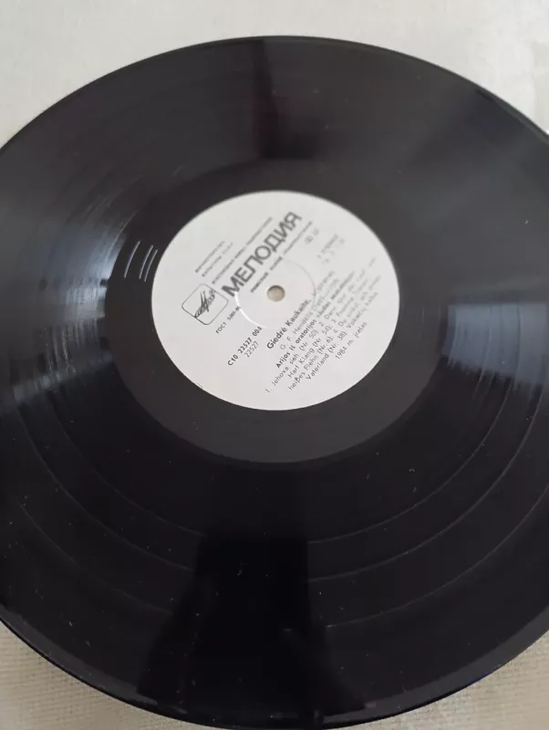 Giedrė Kaukaite - Musica Humana, plokštelė 4