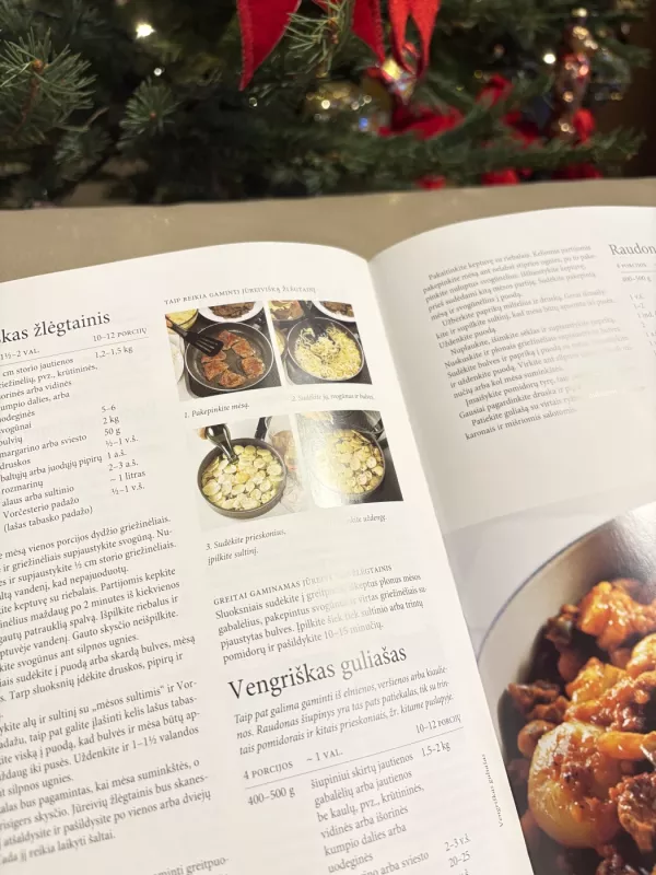 Didžioji virtuvės knyga - Birgitta Rasmusson, knyga 6