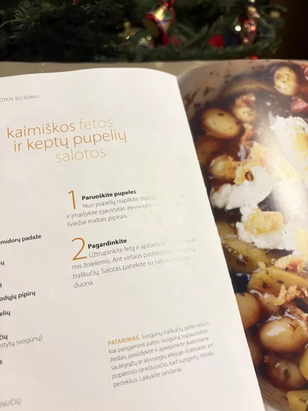 100 salotų su mėsa, žuvimi, sūriu, vaisiais ir uogomis - Brigita Bulsytė, knyga 5