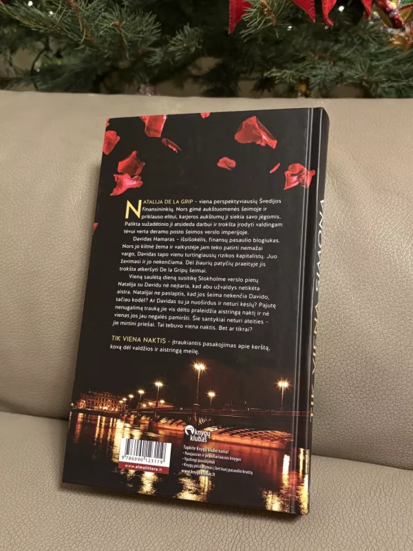 Tik viena naktis - Simona Ahrnstedt, knyga 3