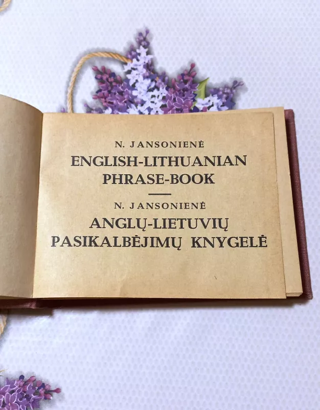 Anglų- lietuvių pasikalbėjimų knygelė - N. Jansonienė, knyga 3