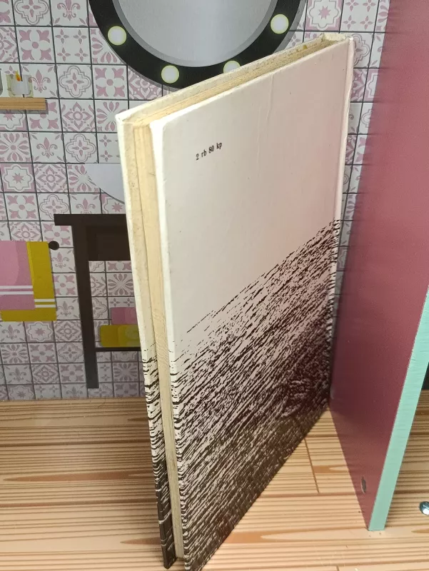 Gydytojas už spygliuotų vielų - Kazys Paltanavičius, knyga 4