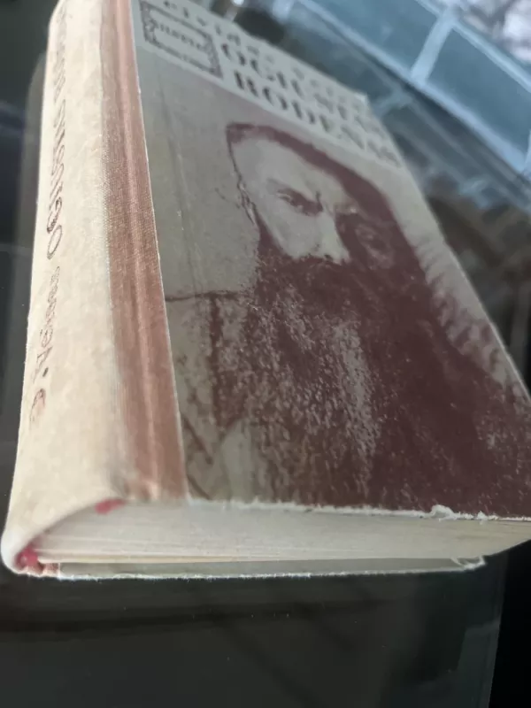 Ogiustas Rodenas - Deividas Veisas, knyga 3