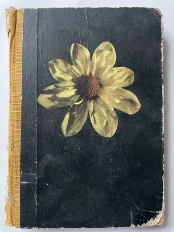 Pasakos apie gėles -  Ana Saksė, knyga 2