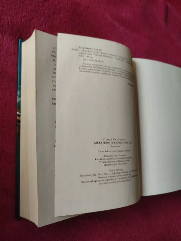 Meksikos įlankos piratai - Vicente Riva Palacio, knyga 5