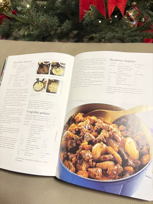 Didžioji virtuvės knyga - Birgitta Rasmusson, knyga 4