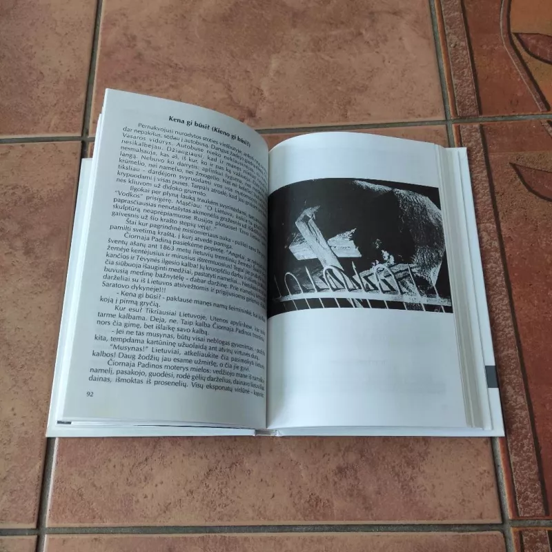 Esame nenaudingi tarnai... - Aldona Eugenija Kezytė ACJ, knyga 5