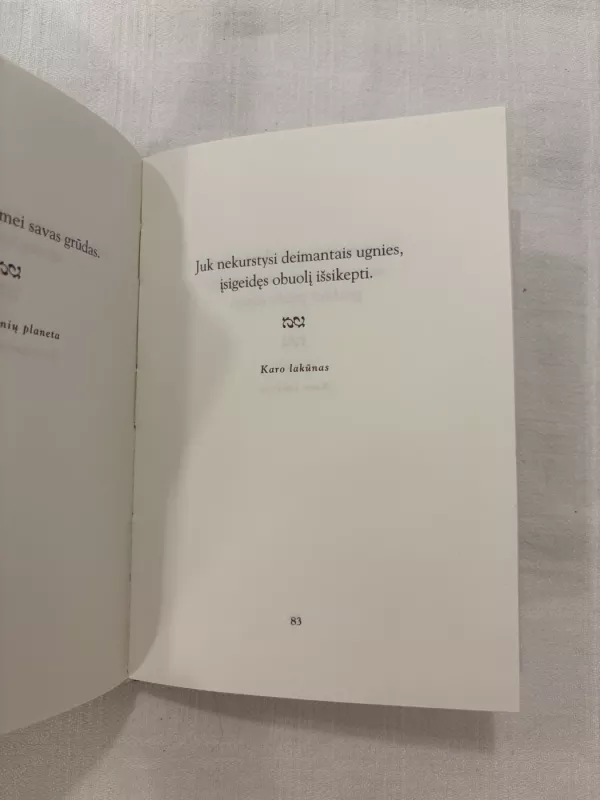 Antoine de Saint-Exupery minčių rinktinė - Antoine de Saint-Exupéry, knyga 4