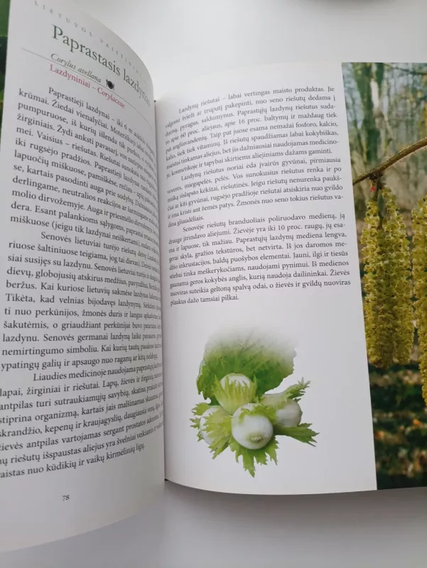 Lietuvos vaistiniai augalai - Zigmantas Gudžinskas, knyga 6