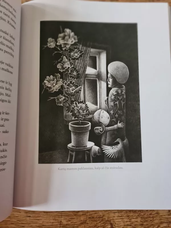 Kedrynų mergaitės istorijos - Elvyra Žeižienė, knyga 6