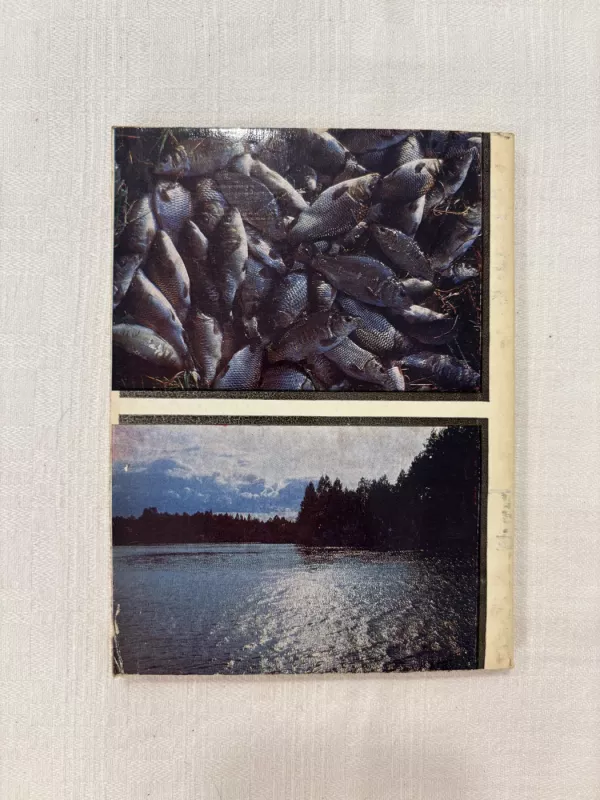 Karpis - A. Pečiukėnas, knyga 5